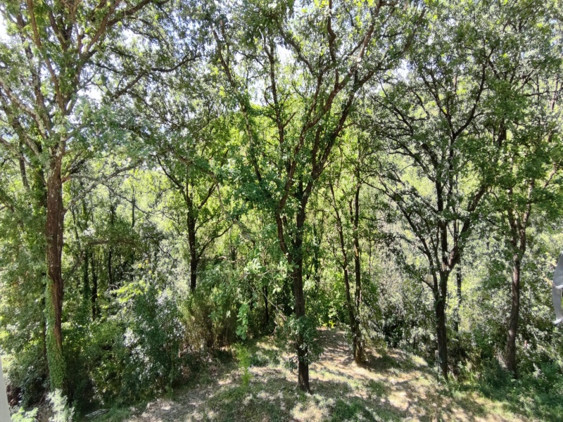 3 Chambres Chambres, 4 Chambres Chambres,0,A vendre,1132